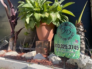 Burtons Best Quality Turf And Pest Burtons Best Quality Turf And Pest